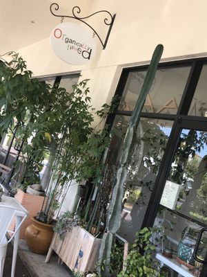 Front of Oeganically Twisted at Organically Twisted in Naples