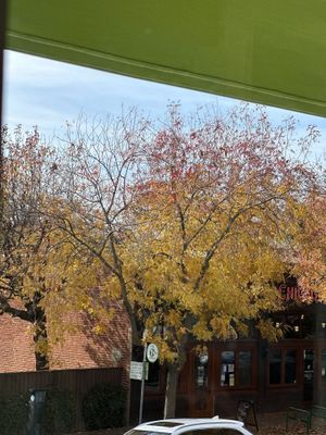 View from window  at Veg Cafe in Sacramento