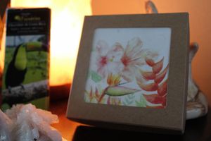 Local Artwork on Chocolate Box at Chocolate Fusion Cafe in La Fortuna