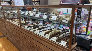 All chocolates have a dark version, and most of those dark ones are vegan. They have a written menu for vegan options. at Chocolate Fusion Cafe in La Fortuna