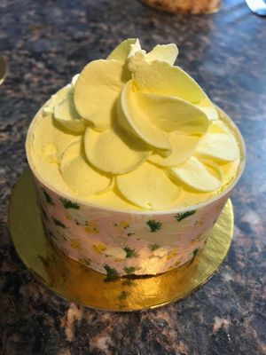 My favorite dessert I have ever had!!! Lemon cheesecake 😍 at Vegan Treats Bakery in Bethlehem