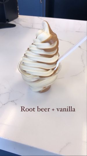 Ice cream at Vegan Treats Bakery in Bethlehem