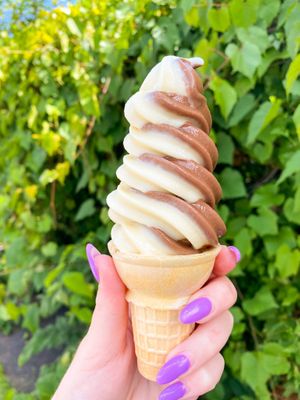 Chocolate & Marshmallow ice cream  at Vegan Treats Bakery in Bethlehem