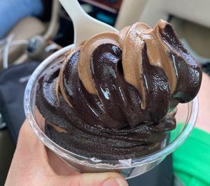 black cocoa and death by chocolate at Vegan Treats Bakery in Bethlehem