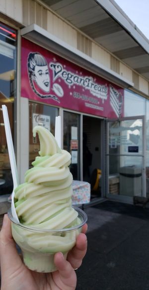  at Vegan Treats Bakery in Bethlehem