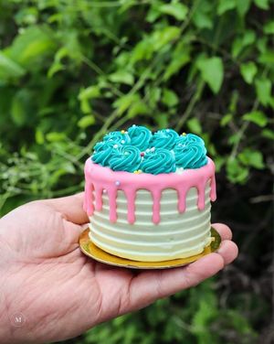  at Vegan Treats Bakery in Bethlehem