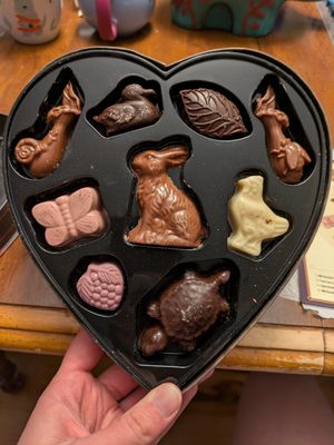 Valentine's chocolate box at Vegan Treats Bakery in Bethlehem