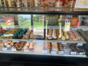 Case at Vegan Treats Bakery in Bethlehem