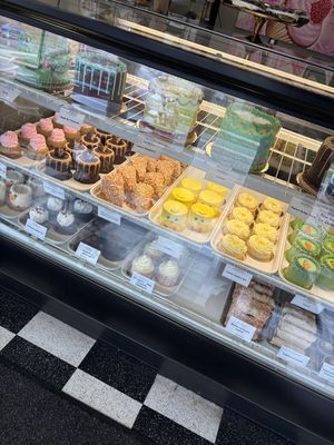 Spring 2026.  at Vegan Treats Bakery in Bethlehem