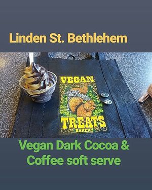 February 21, 2019; Thursday. Dark Cocoa & Coffee Soft Serve. at Vegan Treats Bakery in Bethlehem