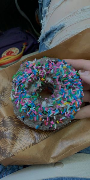 Chocolate donut at Vegan Treats Bakery in Bethlehem