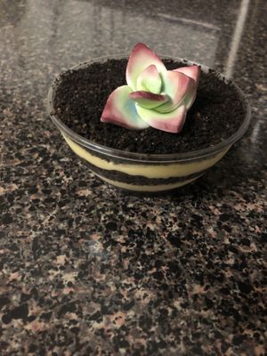 Dirt cup at Vegan Treats Bakery in Bethlehem