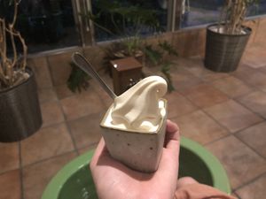 Soft vegan ice cream and a foot spa!!!  at Shojin Cafe Foi - Nishikuginukicho in Wakayama