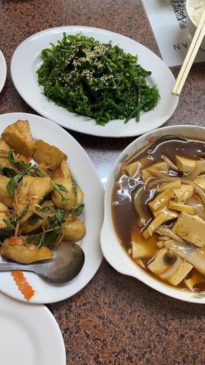Fern greens, basil and king oyster mushrooms, and tofu   at Shan Hu in Sun Moon Lake
