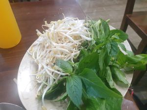 Beansprouts and leaves 4/10 came with the phố but too much man at Bach Thao in Can Tho
