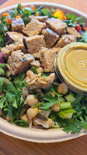 Happy Belly tempeh bowl at Crave in St Augustine
