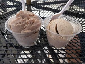 cashew vanilla and banana almond ice creams at The Juice in Los Angeles