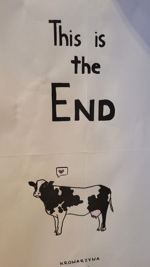  at Krowarzywa in Krakow