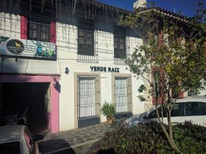 outside at Verde Raiz in Xalapa