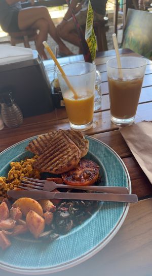   at Cafe Mono Congo in Dominical