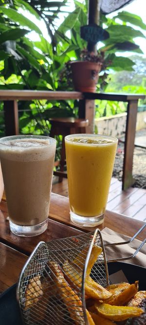  at Cafe Mono Congo in Dominical