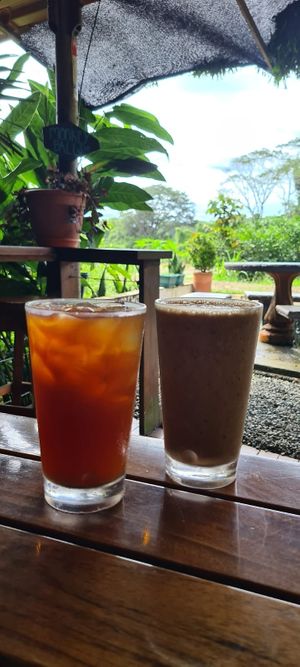  at Cafe Mono Congo in Dominical