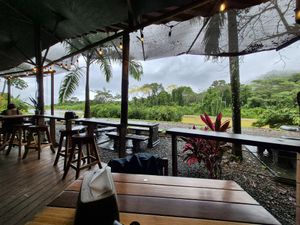  at Cafe Mono Congo in Dominical