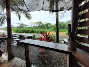Aussenbereich mit Sicht auf den Fluss at Cafe Mono Congo in Dominical