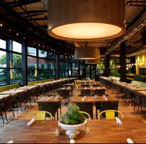 Inside of True Food at True Food Kitchen in El Segundo