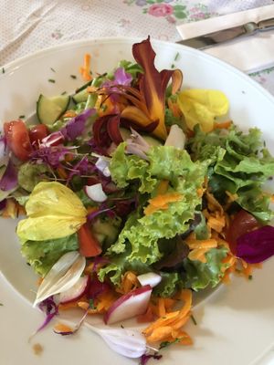 Beilagensalat at Bio-Wirtshaus Zum Fliegerbauer on Stelzlhof in Passau