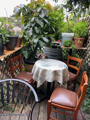 Tiny Outdoor Area at Paprika Cafe in Monterey