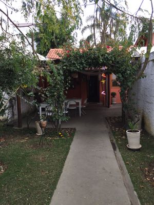 krsna at Krsna in Sao Jose Dos Campos