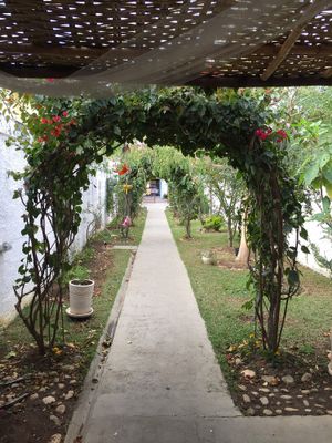 krsna at Krsna in Sao Jose Dos Campos