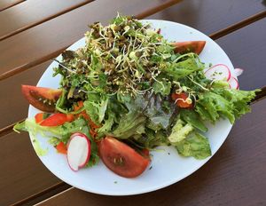 "Kleiner" Beilagensalat mit Essig-Öl-Dressing at Gasthaus Zum Anker in Efringen-kirchen