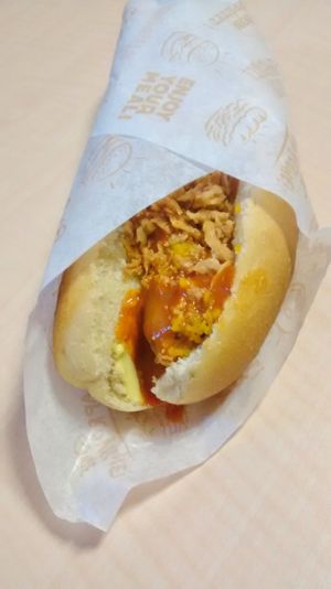 Homemade hotdog with pumpkin chutney, mayo and ketchup at Velo Vege Food Bike in Toulouse
