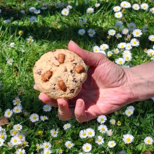 🍪 Cookie peanut butter 🌼 at Velo Vege Food Bike in Toulouse