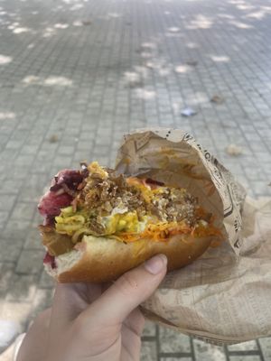 My order (seitan sausage)  at Velo Vege Food Bike in Toulouse