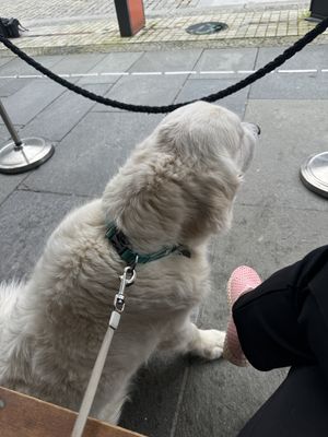   at Los Tacos in Bergen