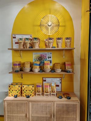 Choices at Ara Chocolat in Paris