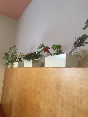 Flowers at Half-Peach Bakery & Cafe in Louisville