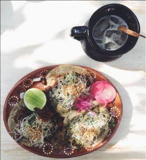 barbecue seitan taco, pastor mushroom taco, corn poblano taco and a fresh barley water at Charly's Vegan Tacos - Food Truck in Tulum