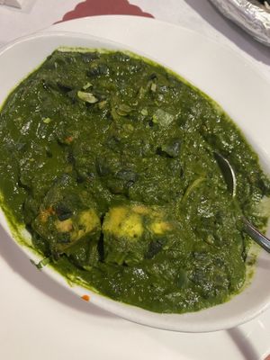   at Curry Leaves in Tampa