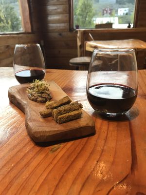 Appetiser and organic wine, top floor with a top view. at Curcuma in El Chalten