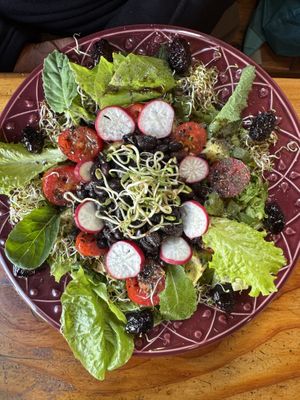   at Curcuma in El Chalten