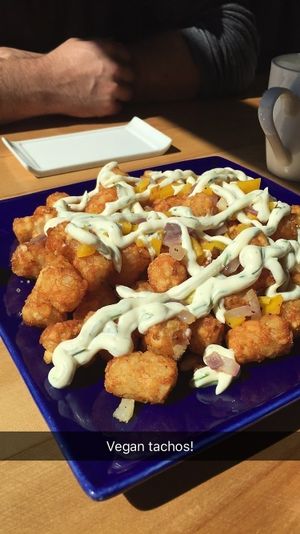 Vegan tachos!  at Root in Lancaster