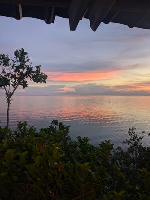  at Buzzz Cafe in Panglao