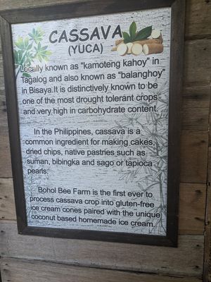  at Buzzz Cafe in Panglao