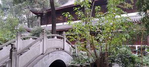 #Veganuary at Wenshu Temple Restaurant 心香 in Chengdu