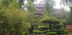 Restaurant grounds at Wenshu Temple Restaurant 心香 in Chengdu