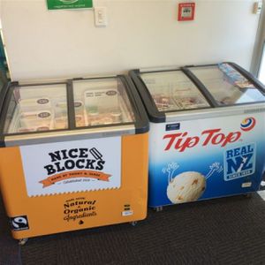 Vegetarian World frozen desserts at Vegetarian World in Christchurch